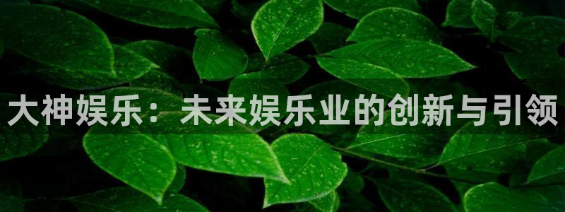 风暴娱乐登录入口：大神娱乐：未来娱乐业的创新与引领