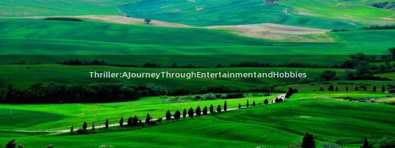 风暴娱乐登录地址：Thriller:AJourneyThroughEntertainmentandHobbies
