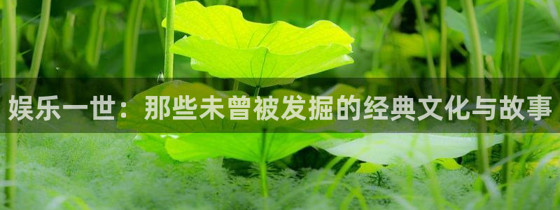 风暴娱乐登录：娱乐一世：那些未曾被发掘的经典文化与故事