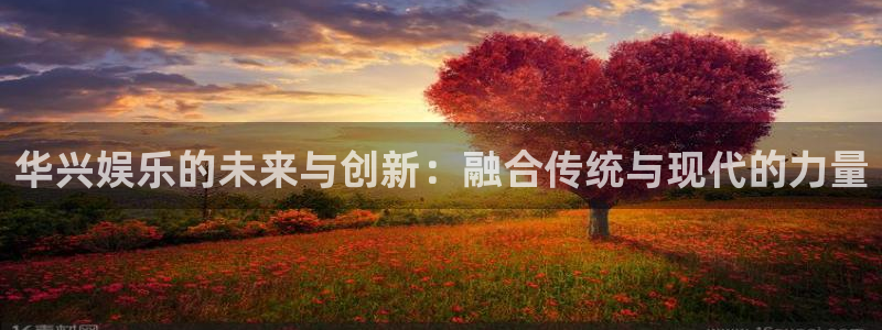 风暴娱乐登录：华兴娱乐的未来与创新：融合传统与现代的力量