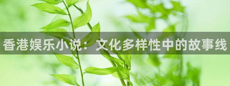 风暴娱乐登录入口：香港娱乐小说：文化多样性中的故事线