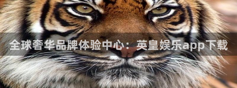 风暴娱乐登录地址：全球奢华品牌体验中心：英皇娱乐app下载