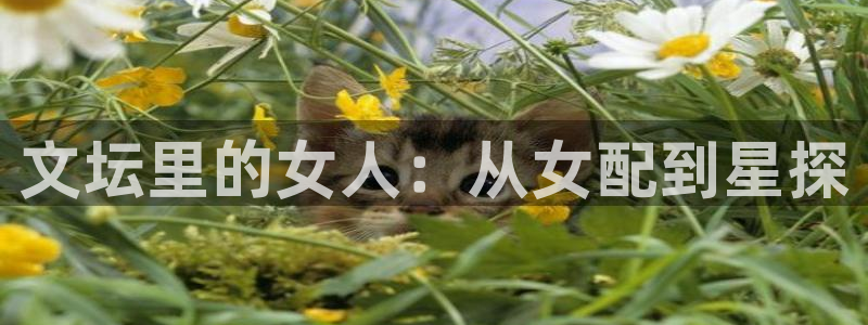 风暴娱乐官网：文坛里的女人：从女配到星探