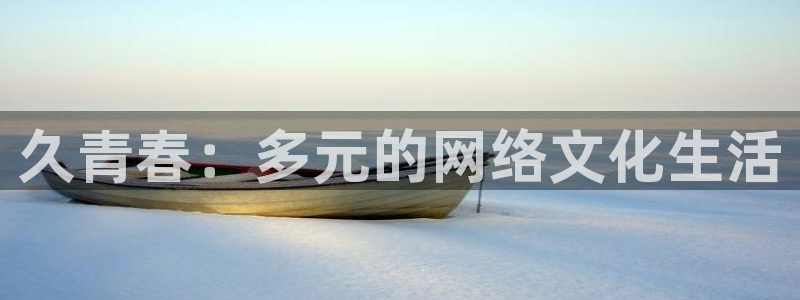 风暴娱乐：久青春：多元的网络文化生活