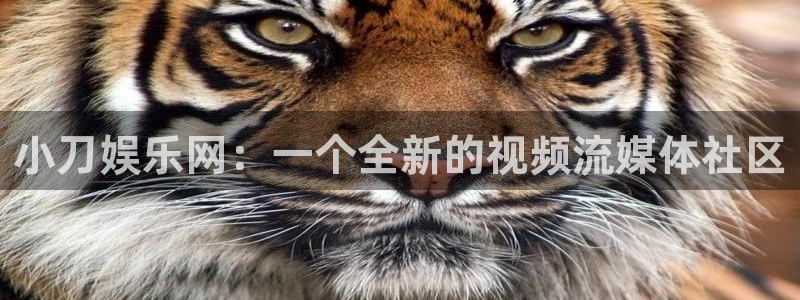 风暴娱乐登录地址：小刀娱乐网：一个全新的视频流媒体社区