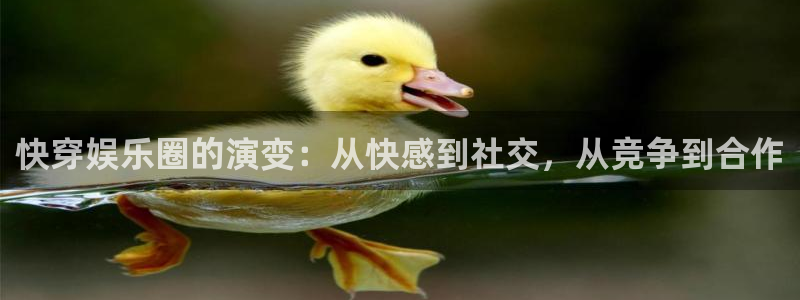 风暴娱乐官网：快穿娱乐圈的演变：从快感到社交，从竞争到合作