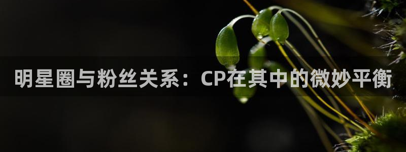 风暴娱乐官网：明星圈与粉丝关系：CP在其中的微妙平衡