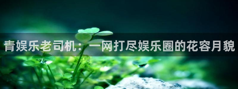 风暴娱乐登录入口：青娱乐老司机：一网打尽娱乐圈的花容月貌