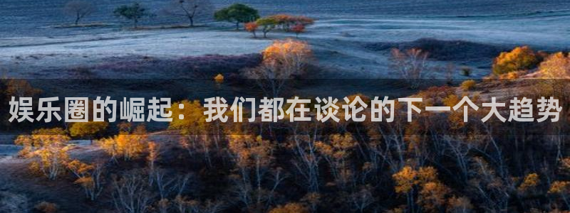 风暴娱乐：娱乐圈的崛起：我们都在谈论的下一个大趋势