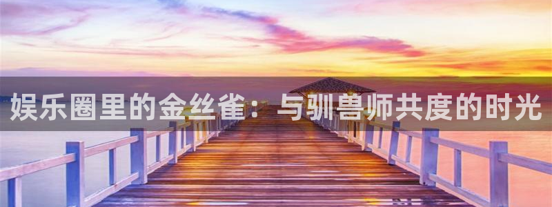 风暴娱乐登录：娱乐圈里的金丝雀：与驯兽师共度的时光