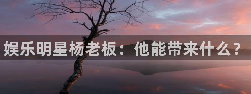 风暴娱乐：娱乐明星杨老板：他能带来什么？