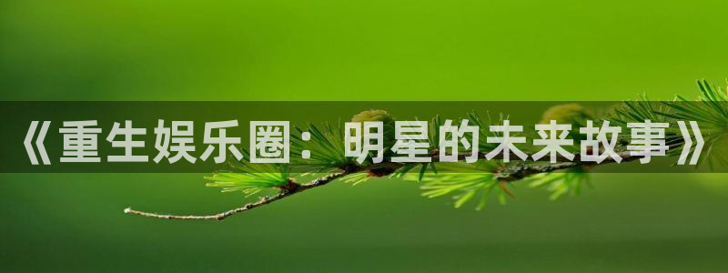 风暴娱乐登录：《重生娱乐圈：明星的未来故事》