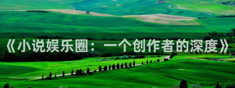 风暴娱乐登录地址：《小说娱乐圈：一个创作者的深度》